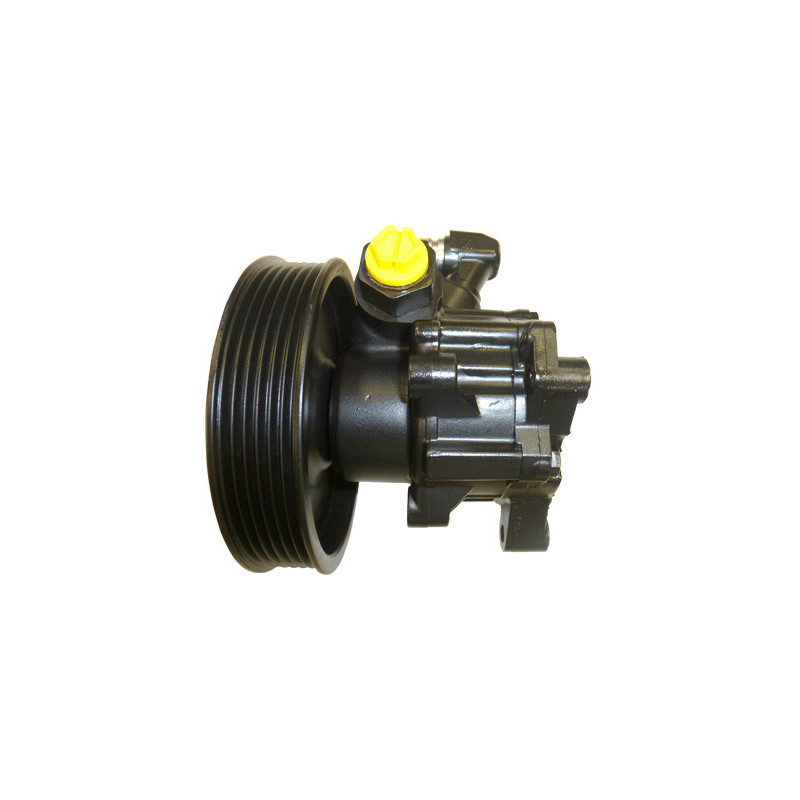 Pompe hydraulique (direction) LIZARTE