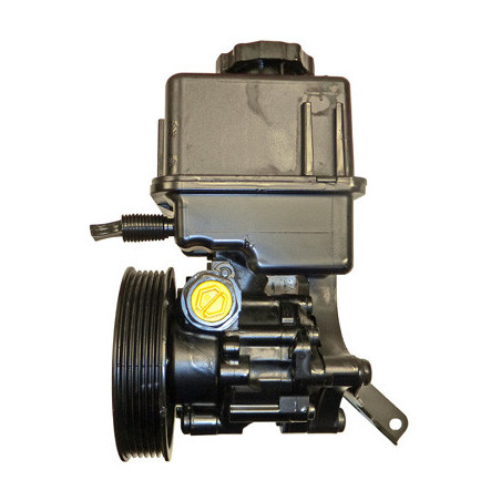 Pompe hydraulique (direction) LIZARTE