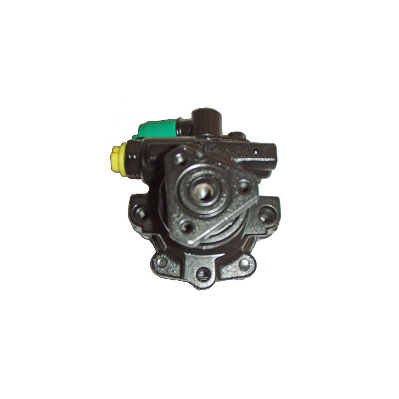 Pompe hydraulique (direction) LIZARTE