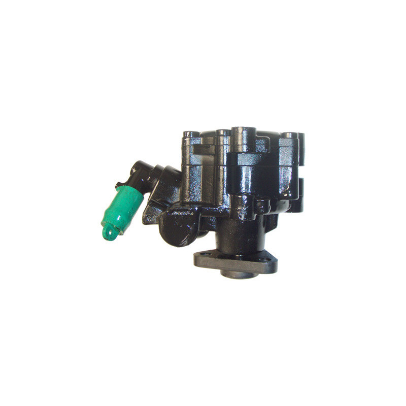 Pompe hydraulique (direction) LIZARTE