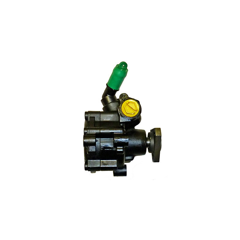 Pompe hydraulique (direction) LIZARTE