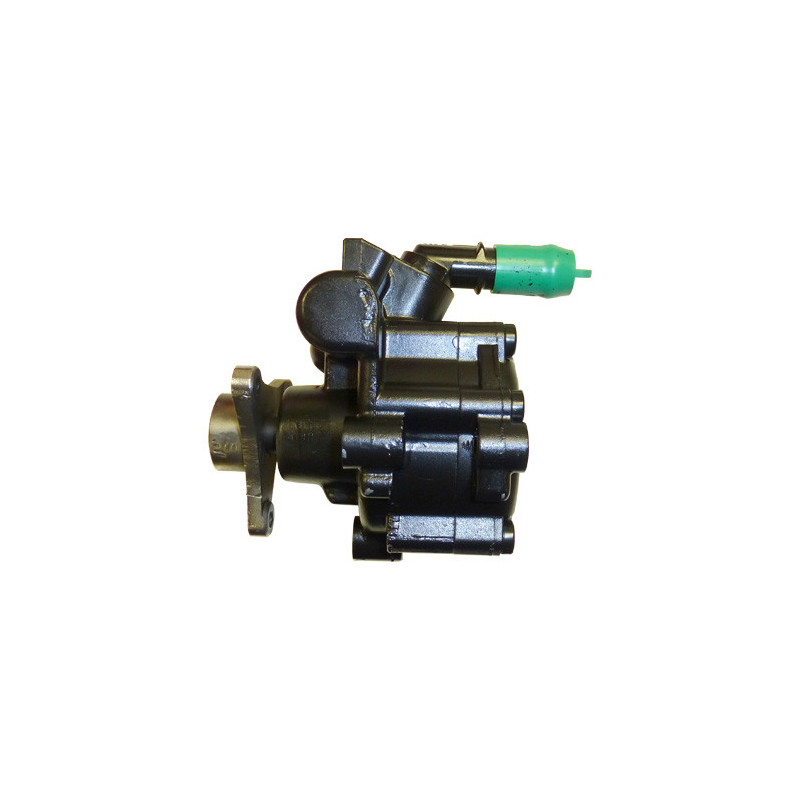 Pompe hydraulique (direction) LIZARTE