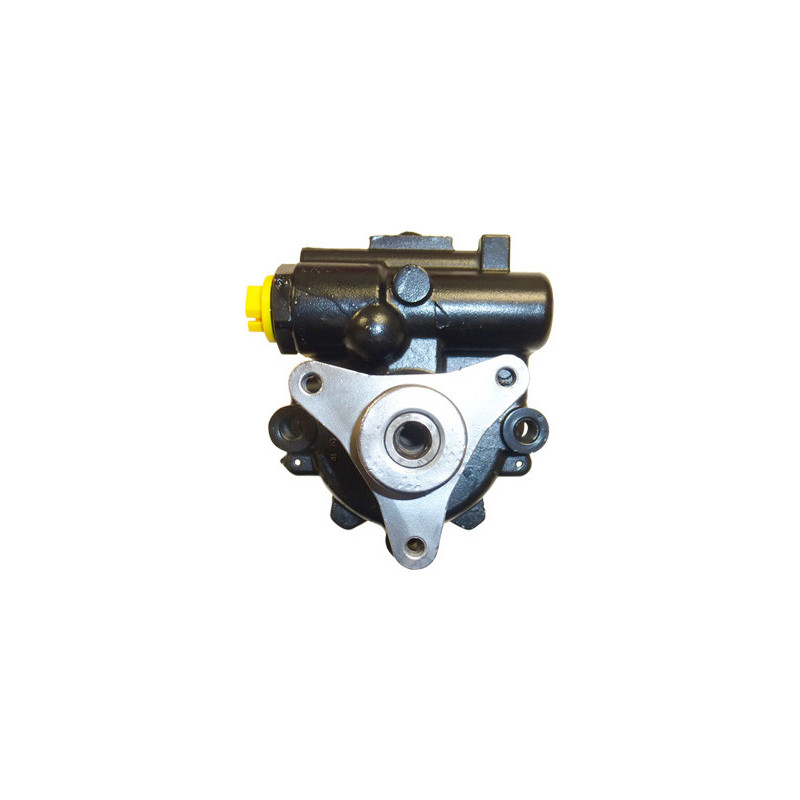 Pompe hydraulique (direction) LIZARTE