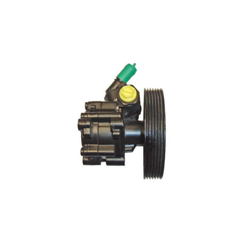 Pompe hydraulique (direction) LIZARTE