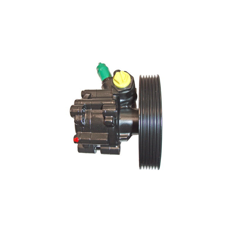 Pompe hydraulique (direction) LIZARTE