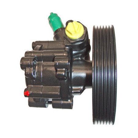 Pompe hydraulique (direction) LIZARTE