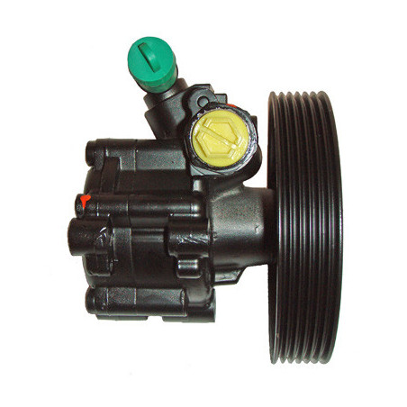 Pompe hydraulique (direction) LIZARTE