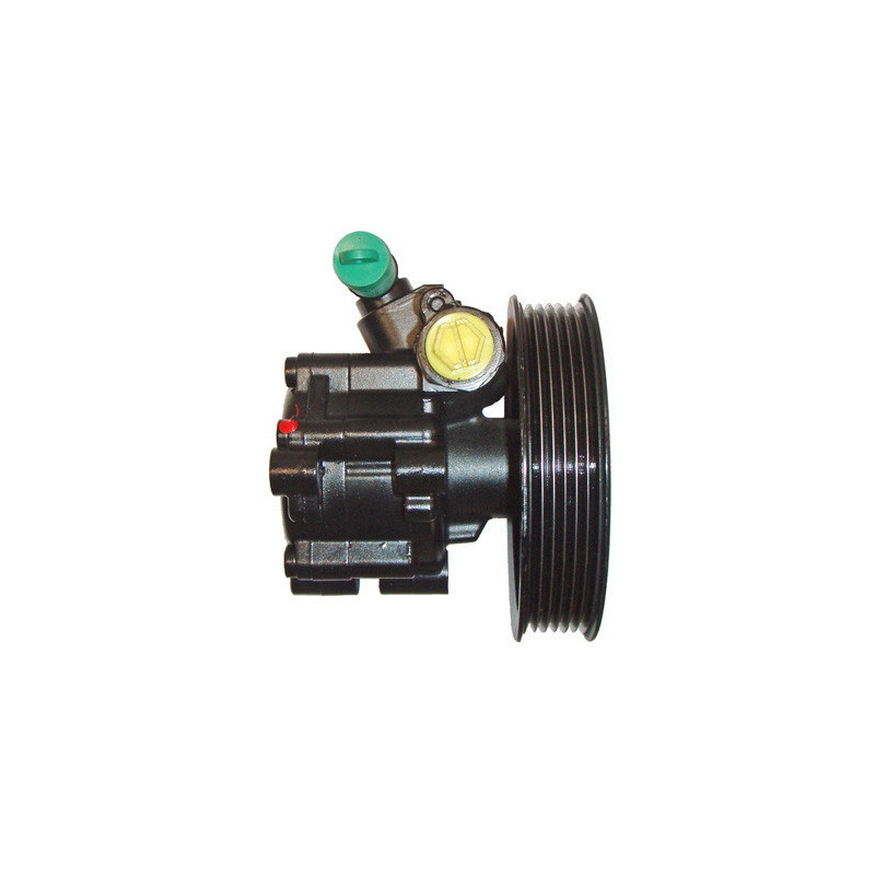 Pompe hydraulique (direction) LIZARTE