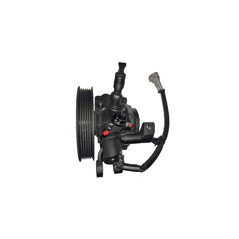 Pompe hydraulique (direction) LIZARTE