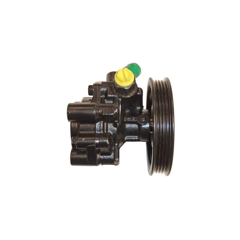 Pompe hydraulique (direction) LIZARTE