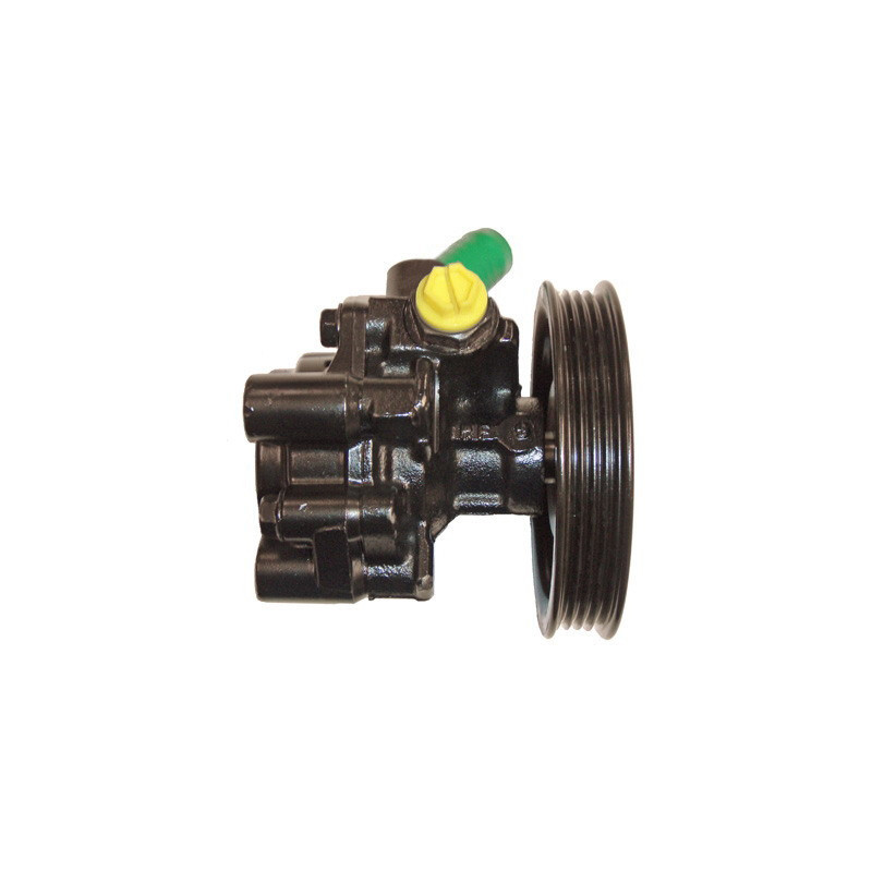 Pompe hydraulique (direction) LIZARTE