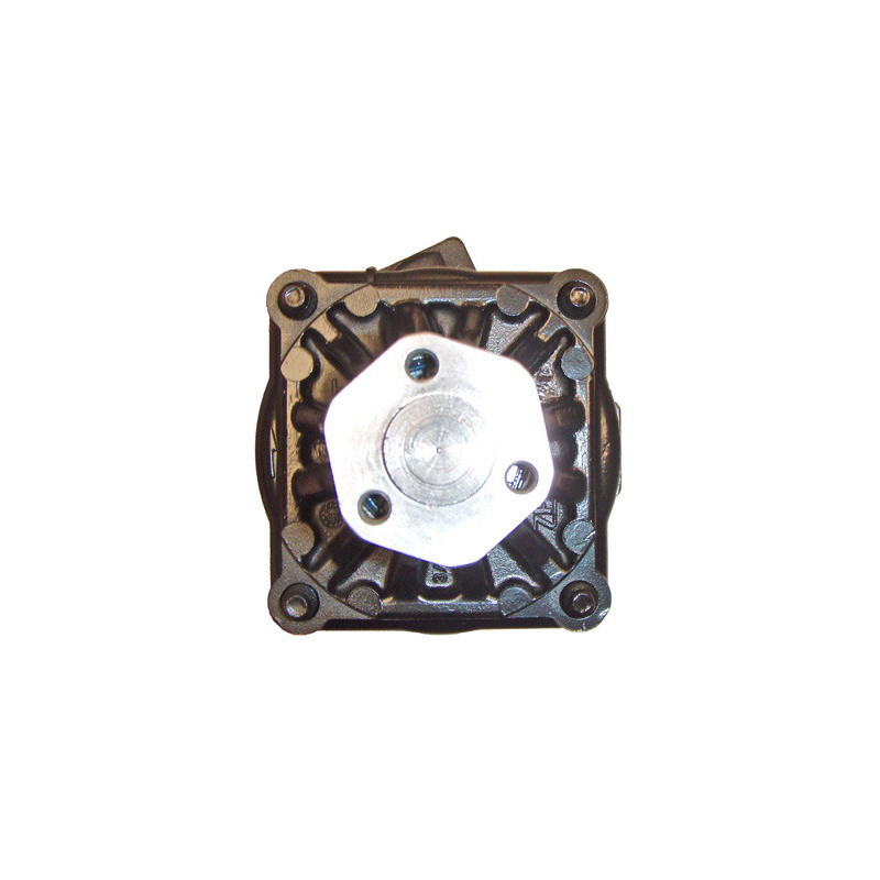 Pompe hydraulique (direction) LIZARTE