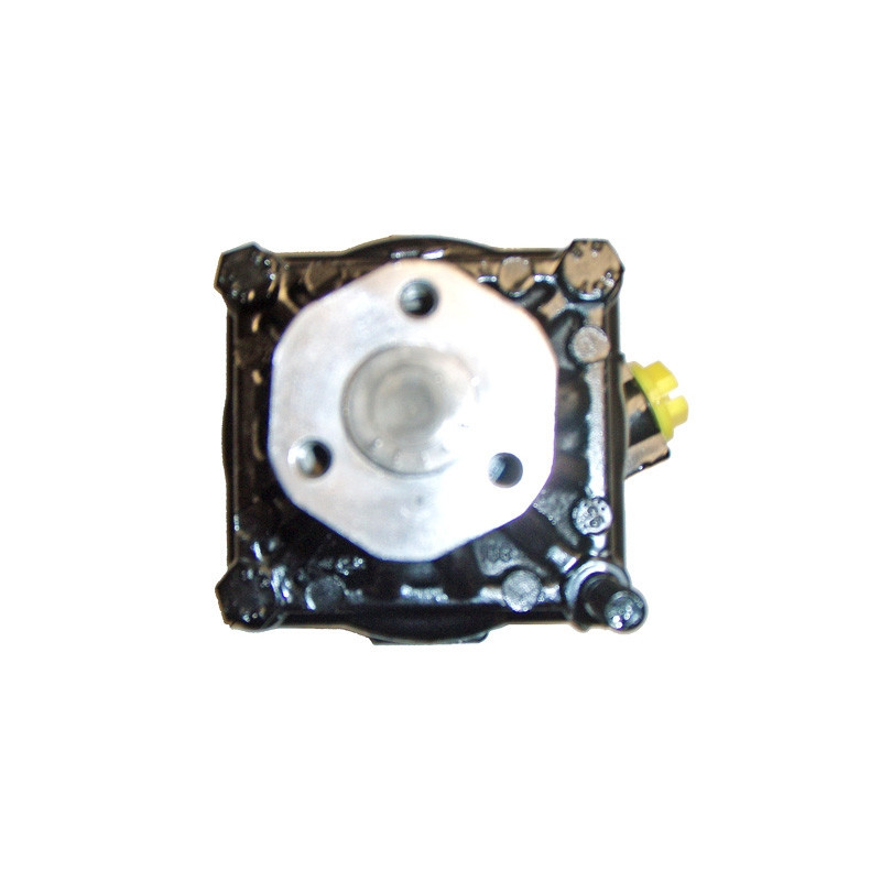 Pompe hydraulique (direction) LIZARTE