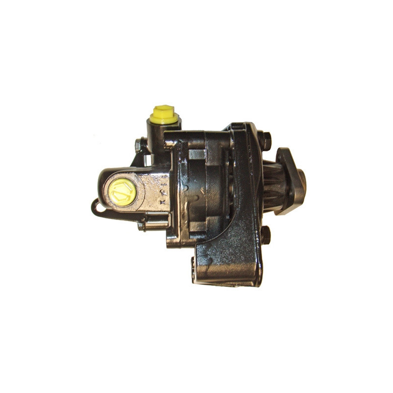 Pompe hydraulique (direction) LIZARTE