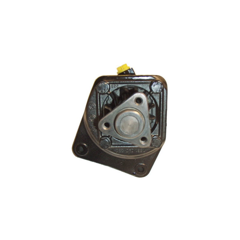 Pompe hydraulique (direction) LIZARTE