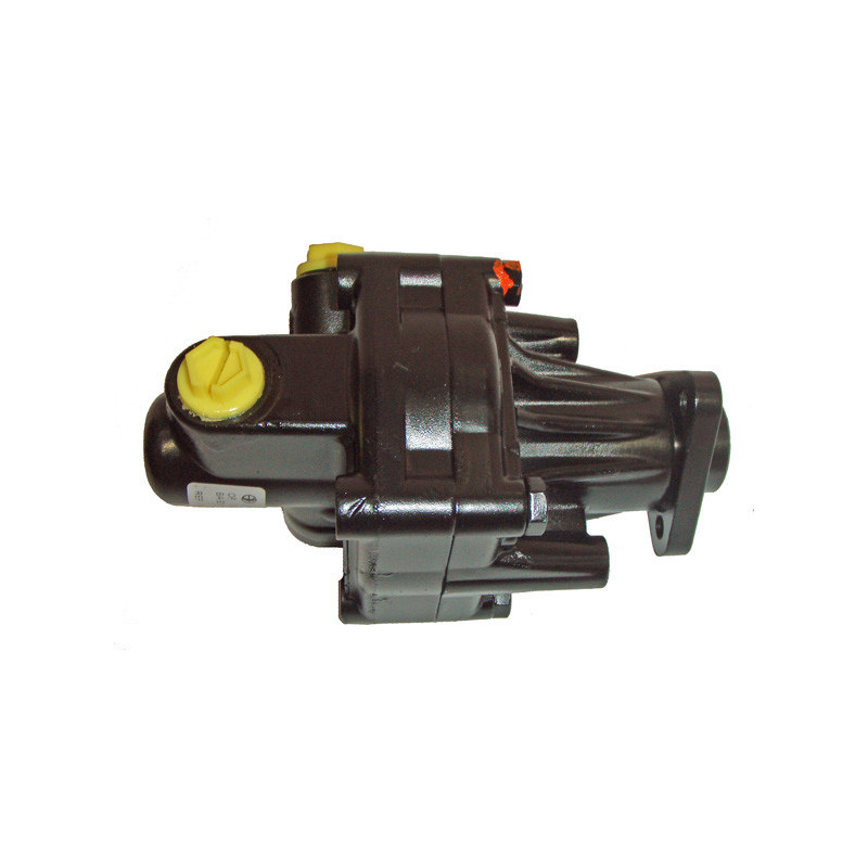 Pompe hydraulique (direction) LIZARTE