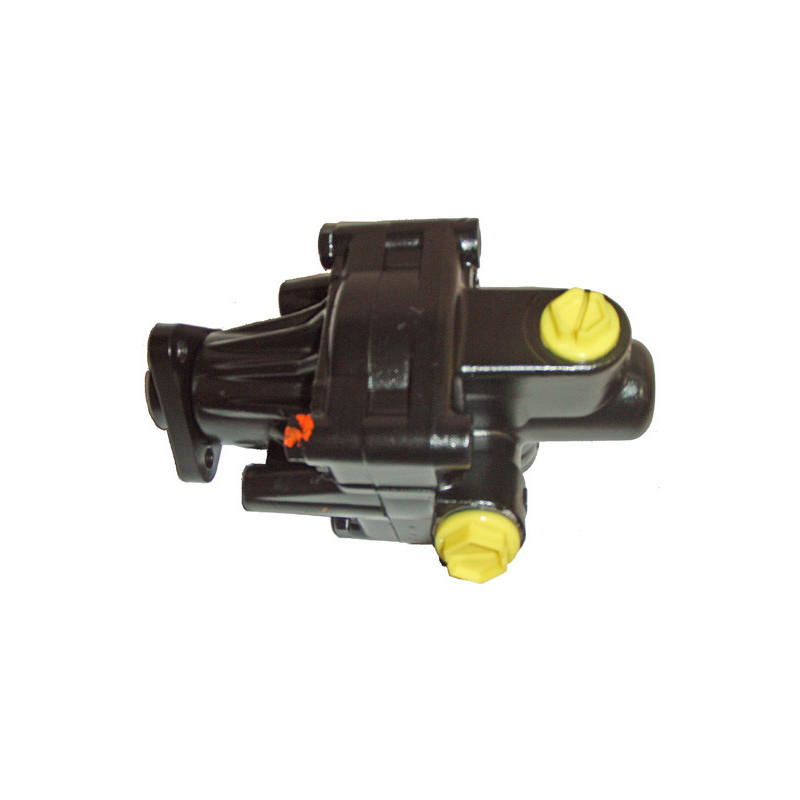 Pompe hydraulique (direction) LIZARTE