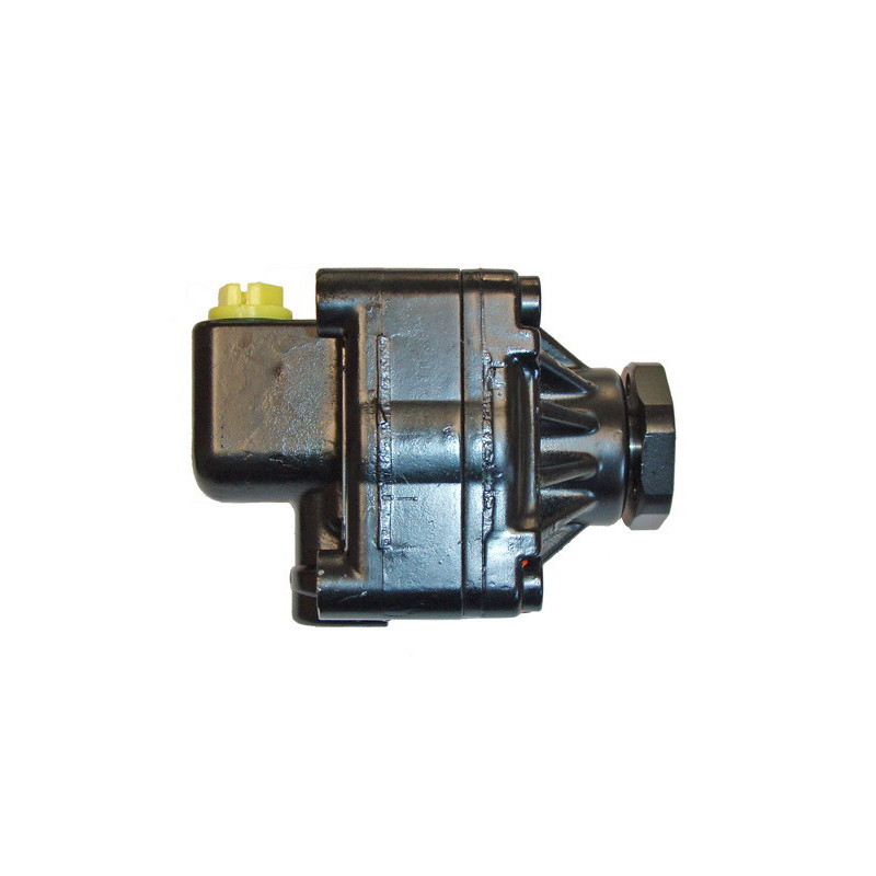 Pompe hydraulique (direction) LIZARTE