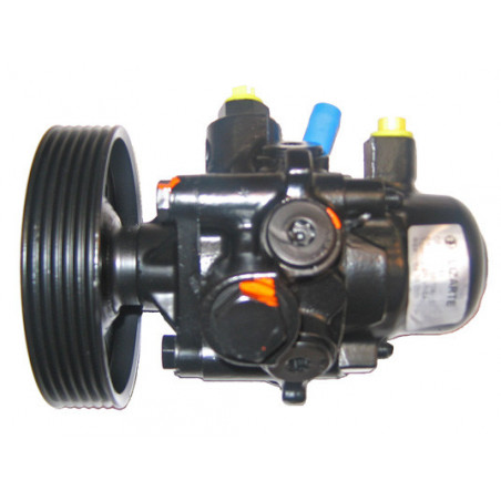 Pompe hydraulique (direction) LIZARTE