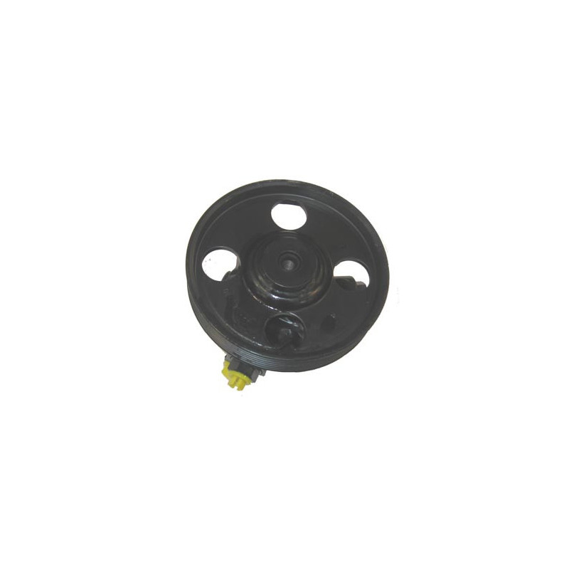 Pompe hydraulique (direction) LIZARTE