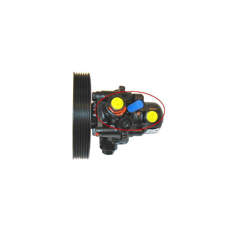 Pompe hydraulique (direction) LIZARTE