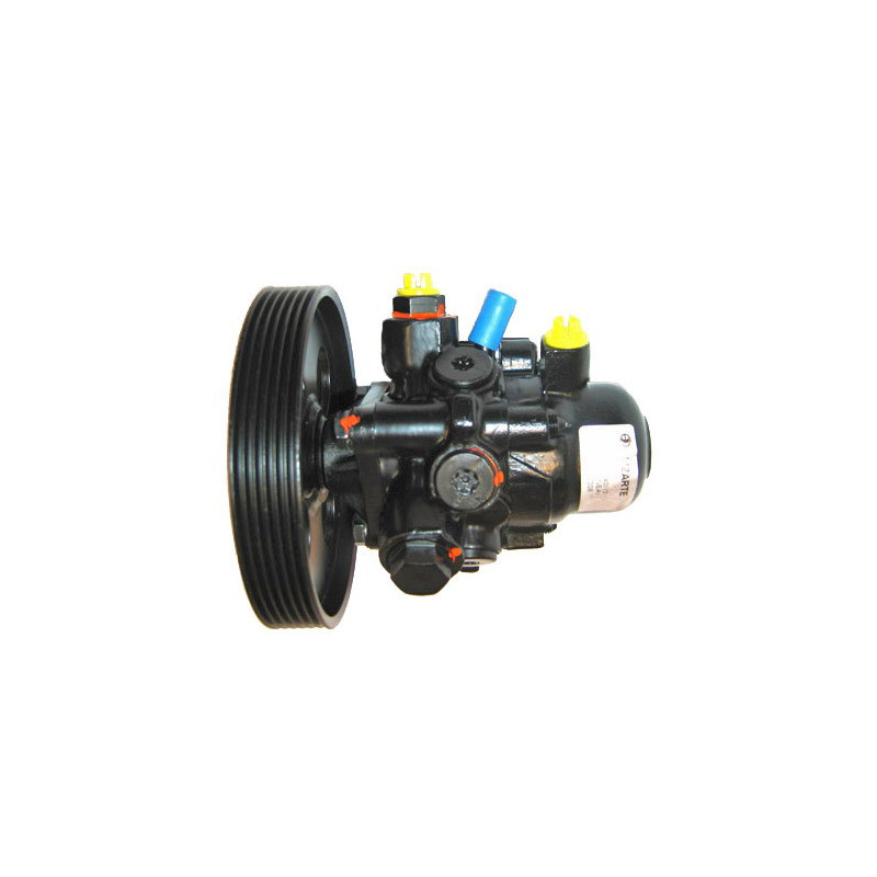 Pompe hydraulique (direction) LIZARTE