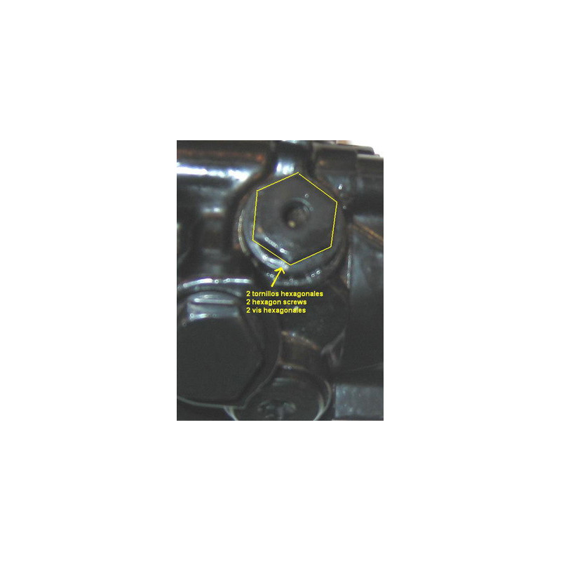 Pompe hydraulique (direction) LIZARTE