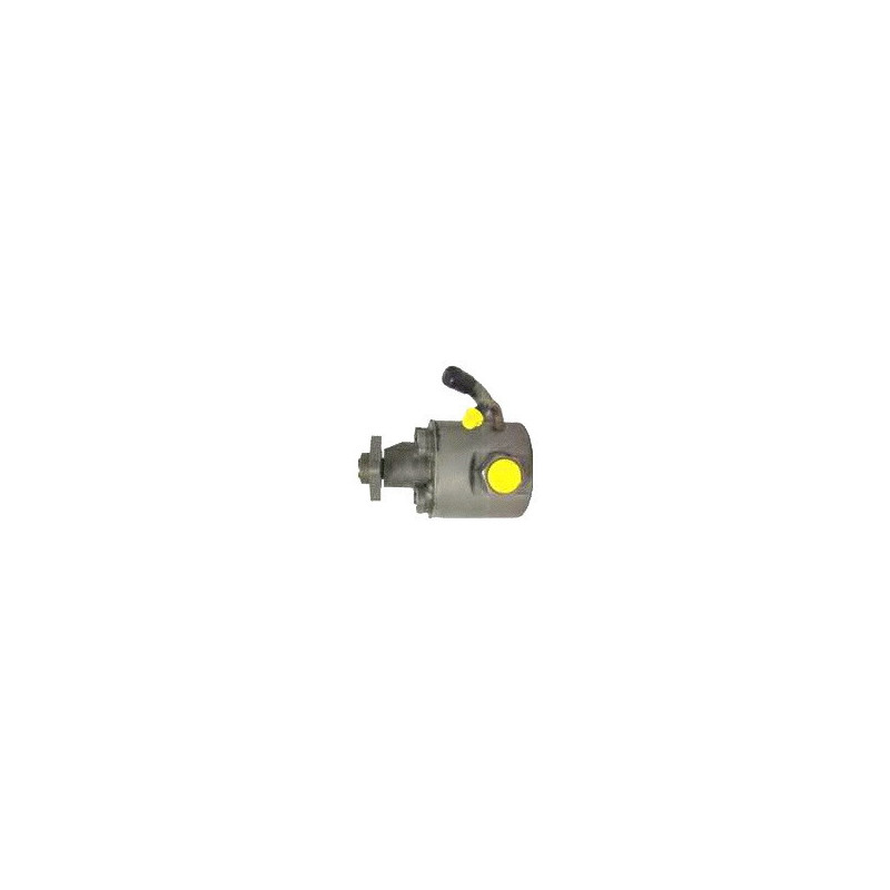 Pompe hydraulique (direction) LIZARTE