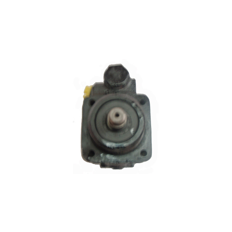Pompe hydraulique (direction) LIZARTE