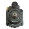 Pompe hydraulique (direction) LIZARTE