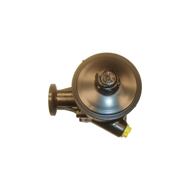 Pompe hydraulique (direction) LIZARTE