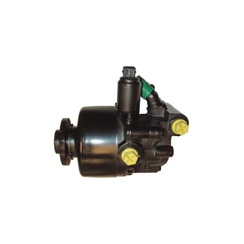 Pompe hydraulique (direction) LIZARTE