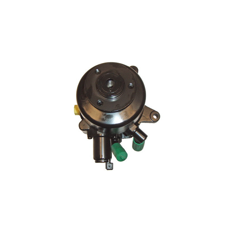 Pompe hydraulique (direction) LIZARTE