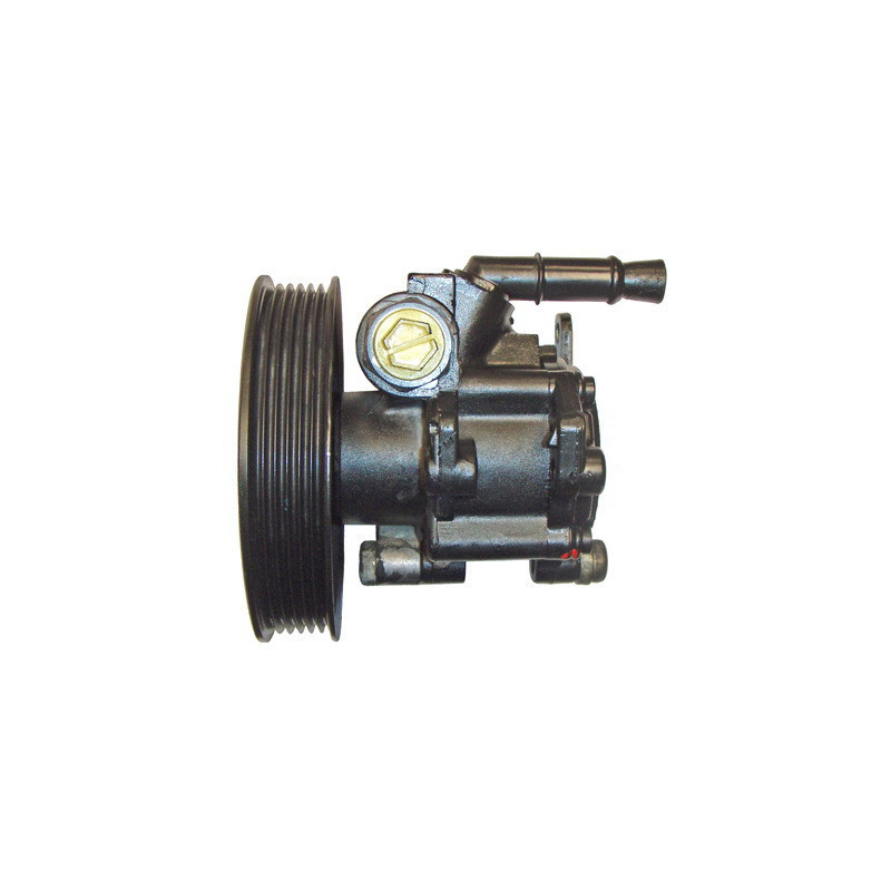 Pompe hydraulique (direction) LIZARTE