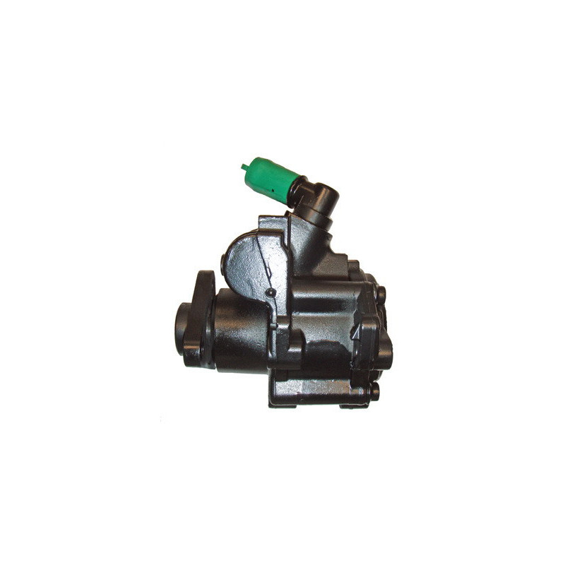 Pompe hydraulique (direction) LIZARTE
