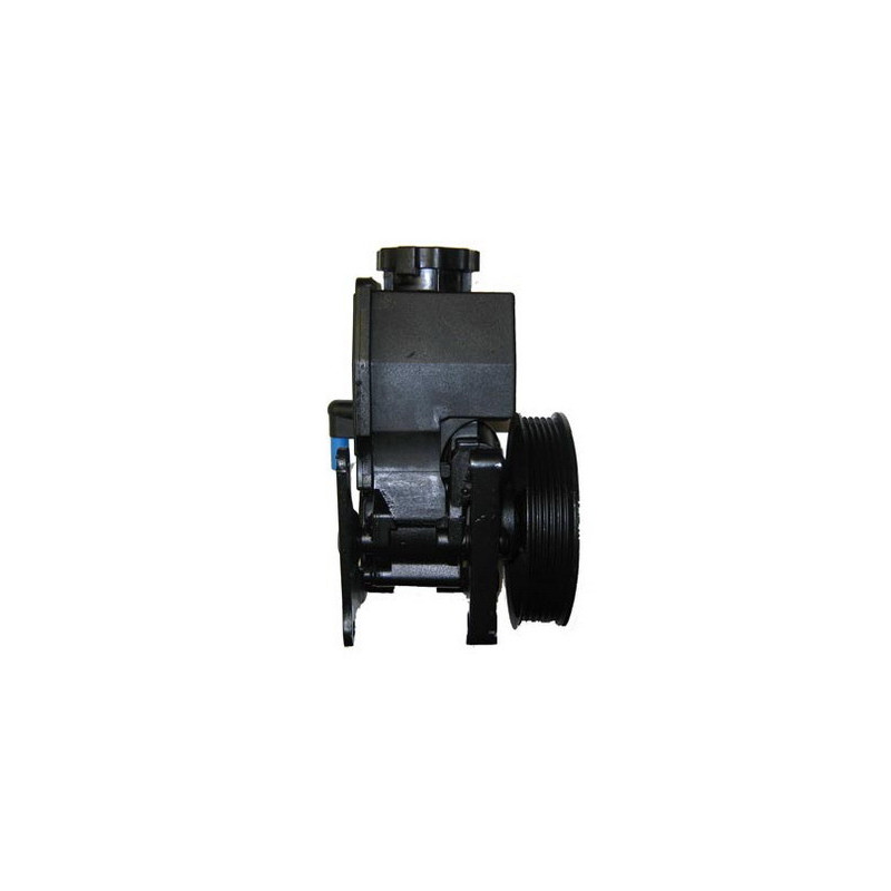 Pompe hydraulique (direction) LIZARTE