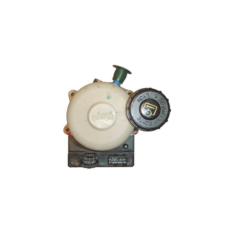 Pompe hydraulique (direction) LIZARTE