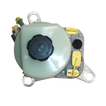 Pompe hydraulique (direction) LIZARTE