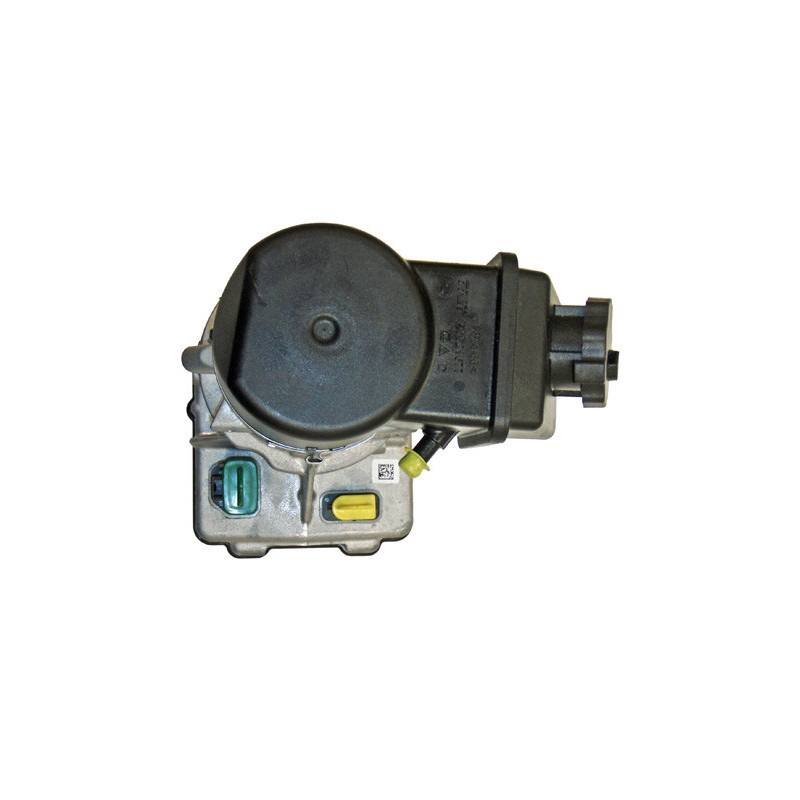 Pompe hydraulique (direction) LIZARTE