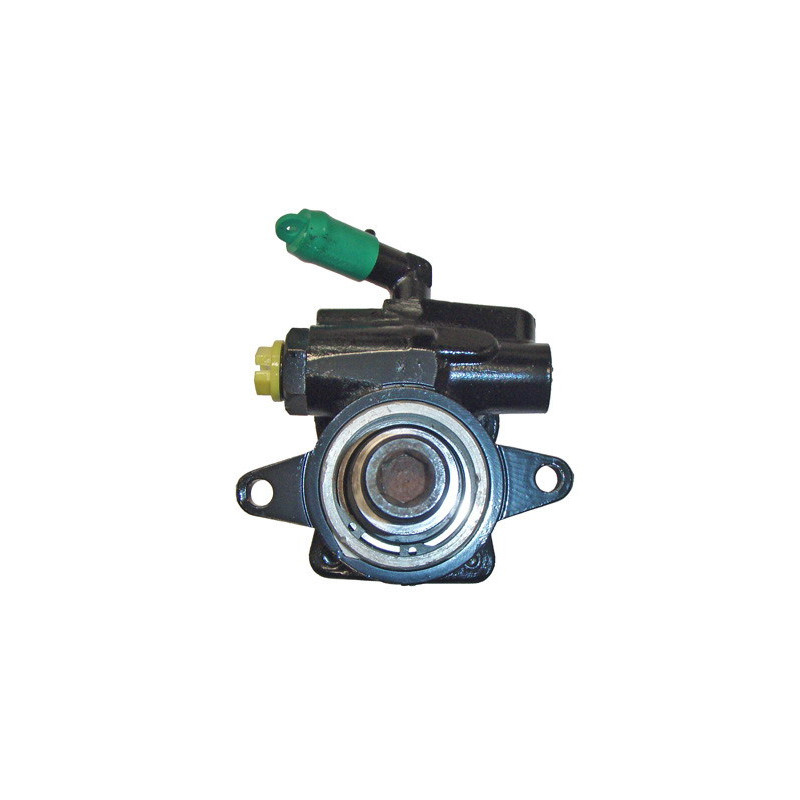 Pompe hydraulique (direction) LIZARTE