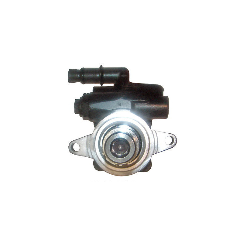 Pompe hydraulique (direction) LIZARTE