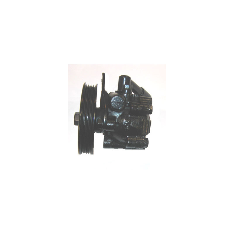 Pompe hydraulique (direction) LIZARTE