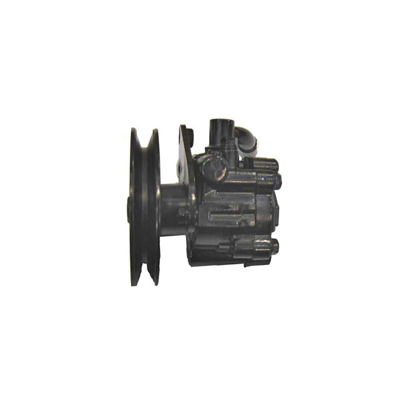 Pompe hydraulique (direction) LIZARTE