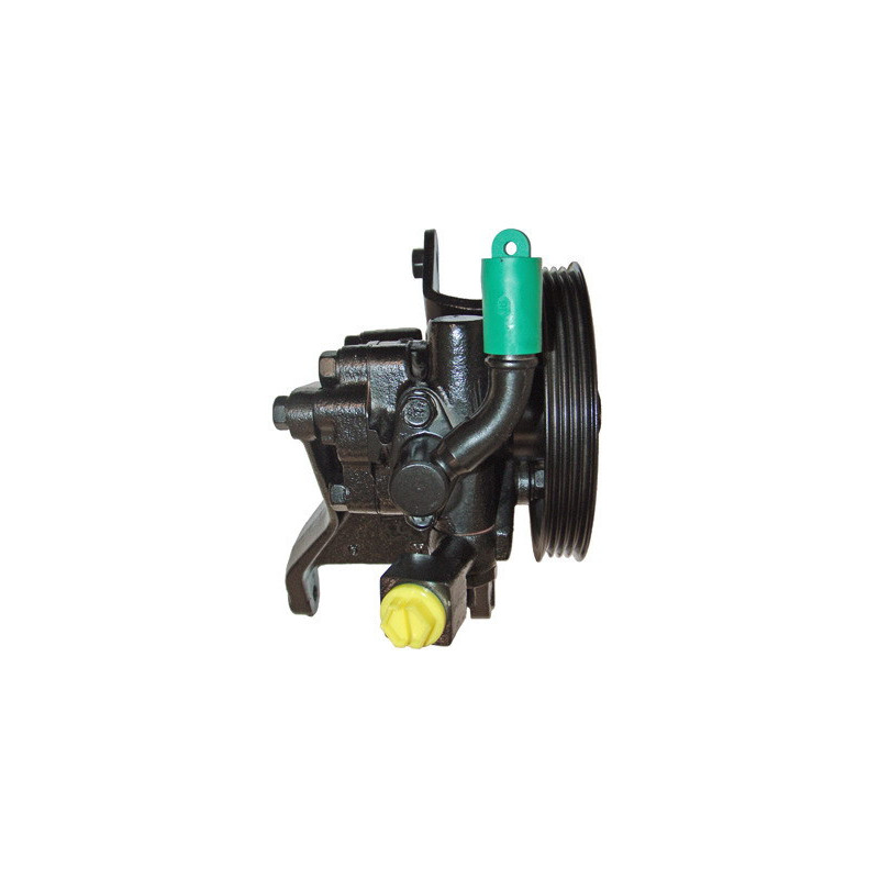 Pompe hydraulique (direction) LIZARTE