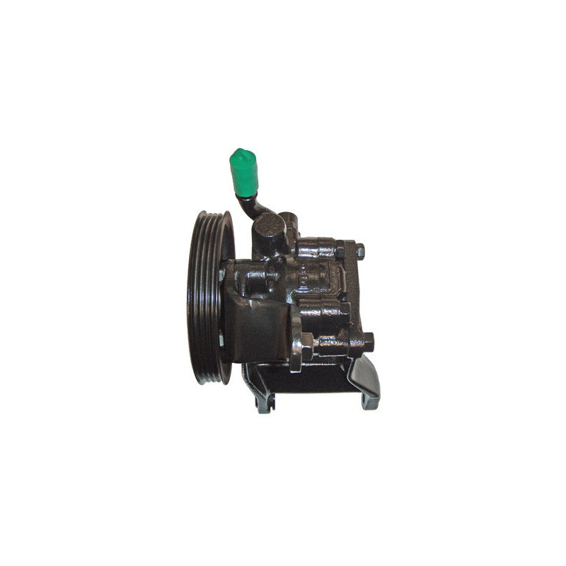 Pompe hydraulique (direction) LIZARTE
