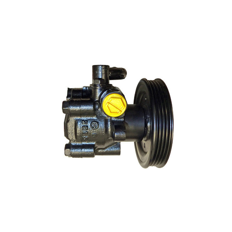 Pompe hydraulique (direction) LIZARTE