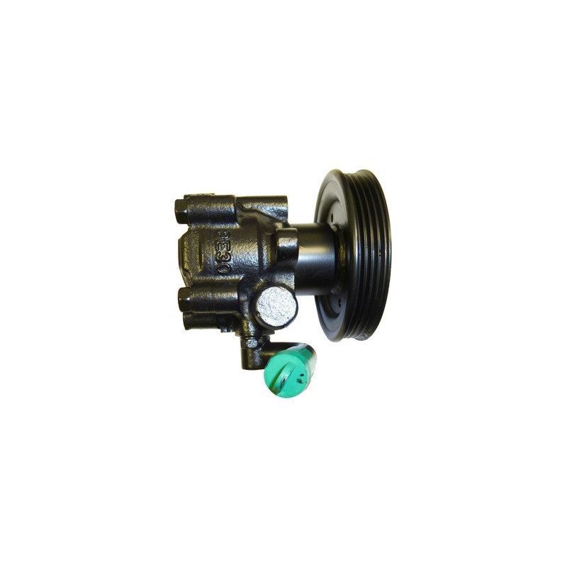 Pompe hydraulique (direction) LIZARTE