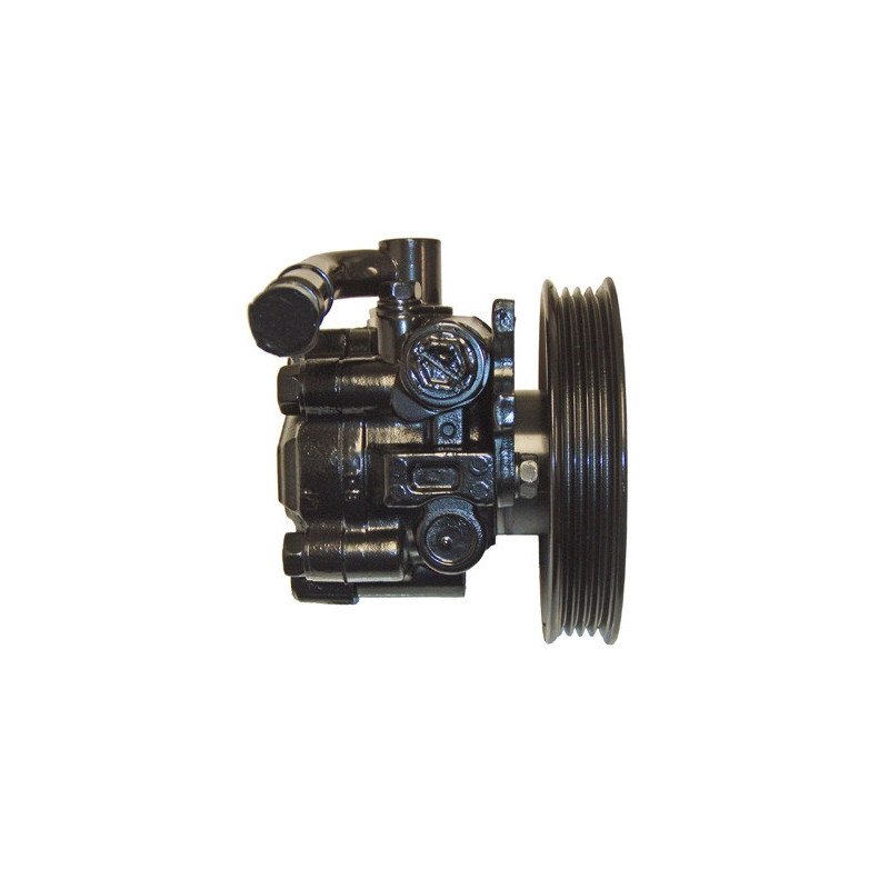 Pompe hydraulique (direction) LIZARTE