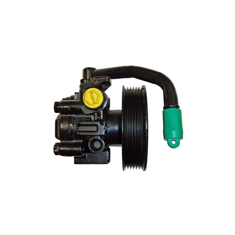 Pompe hydraulique (direction) LIZARTE