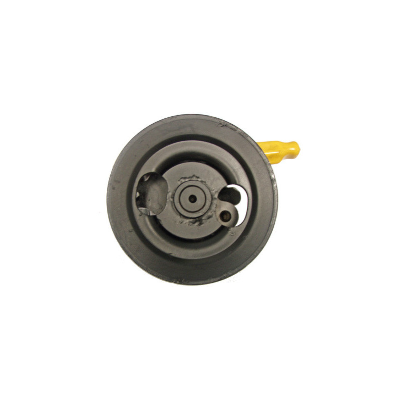 Pompe hydraulique (direction) LIZARTE